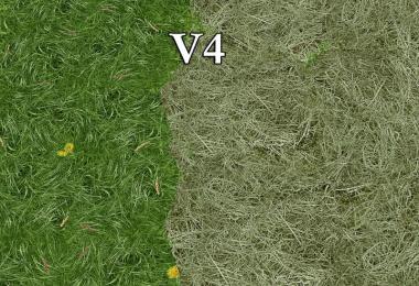 New grass texture v4