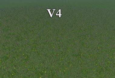 New grass texture v4