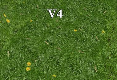 New grass texture v4