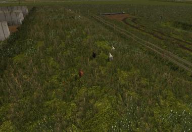 Zuidwest Friesland v1.0.0.2