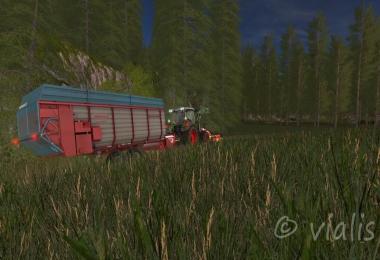 Auenbach LS2017 v2.4