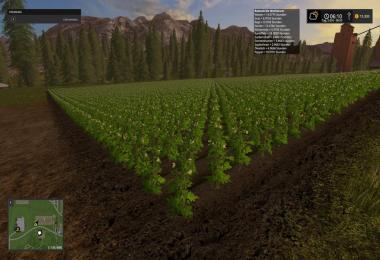 Growth Control v17.3.0.0