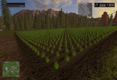 Growth Control v17.3.0.0