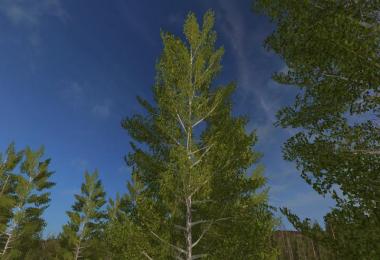 Harvester Birken v2.0