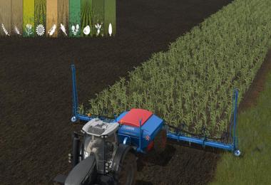 Lemnken Solitair 12 Multiseed v1.17