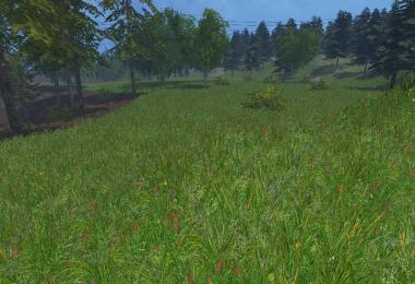 New grass texture v5