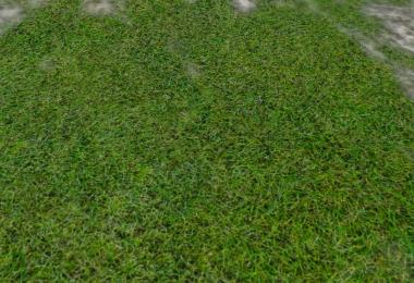 New grass texture v5