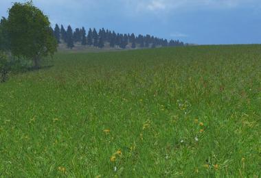 New grass texture v5