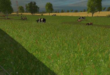 New grass texture v5