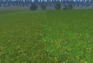New grass texture v5
