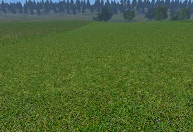 New grass texture v5