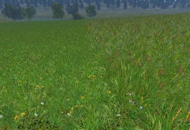 New grass texture v5