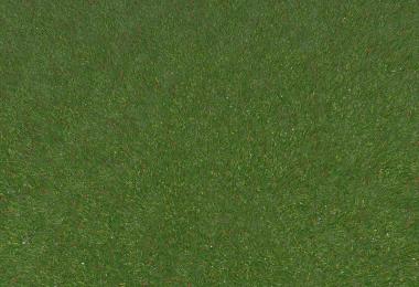 New grass texture v5