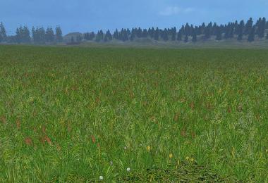 New grass texture v5