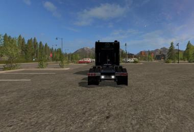 Peterbilt 379 Custom v1.0