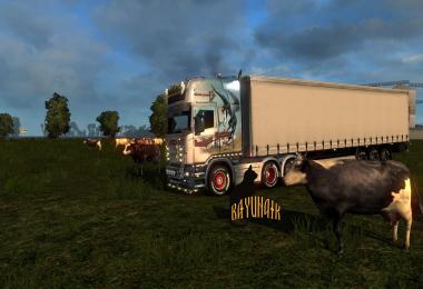Scania R Topline Southern Region skin 1.26