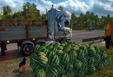 Scania R Topline Southern Region skin 1.26