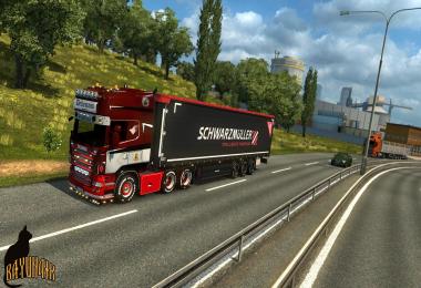 Scania R&S Topline Dellemans skin 1.26