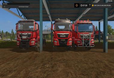 Fliegl Timber Runner with Auto Load Wood Script v1.1.0.17