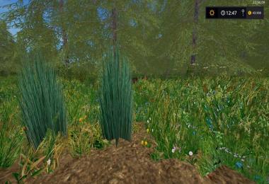 Foliage Texture v1.0