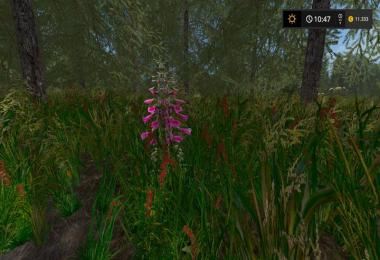 Foliage Texture v1.0