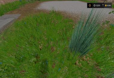 Foliage Texture v1.0