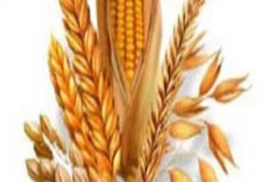 Income Mod Real v1.0.0.2