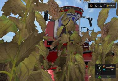 New Holland TC5 by Thunder01