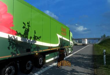 Scania R&S Topline Anna Fleurs skin pack 1.26
