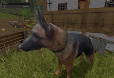 South Tyrolean mountain scenery v3.3.2 Fix & Multifruit (40fruits)