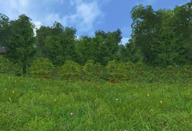 TP PACK / MOD / MAP BETA