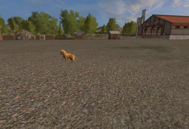 Modified Hagenstedt Final