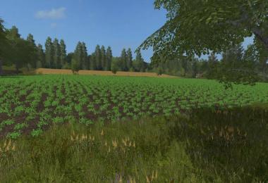 Ringelbach FS17 v1.0