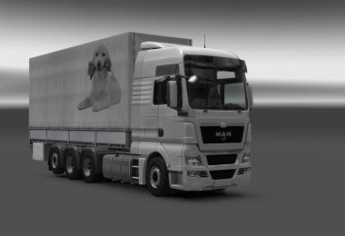 Skin BDF Dog with flower v1