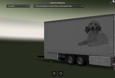 Skin BDF Dog with flower v1