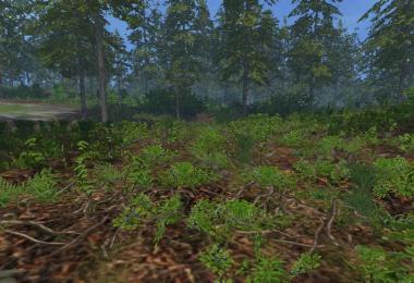 Forest undergrowth v1