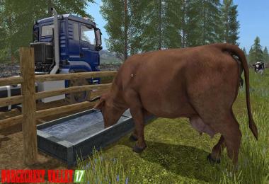 Norge Crest Valley 17 v1.9.1