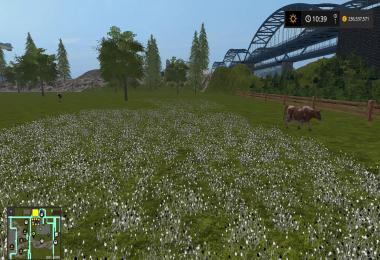 River Po FS17 by Vaszics v1.3