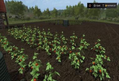 Placeable Tomato field v1.0