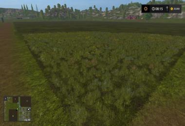 Westbridge Hills 5 v5.4