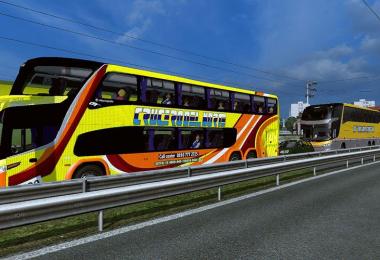 TRAFICO BUSES G7 ARGENTINO