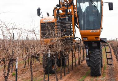 Gregoire G8.260 v0.1 (FS17)