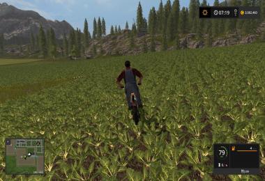 KTM POCKET BIKE v2.0