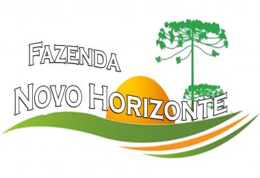 Map Fazenda Novo Horizonte v1