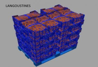 MODS PALETTES BLANVILLE MAREE TFSGROUP