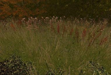 Winter Grass v2.0