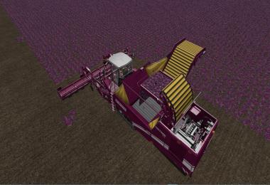 Grimme harvesters from Vaszics
