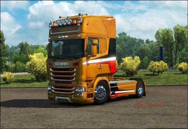 Colored Metalic Plane Skin for RJL