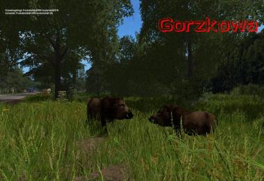 Gorzkowa v1.1