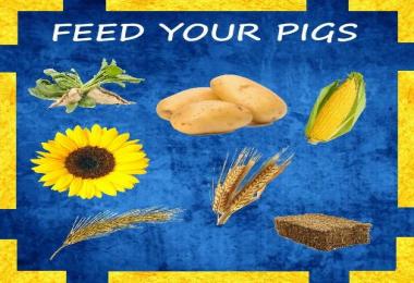 Ground Markers Pack v1.0